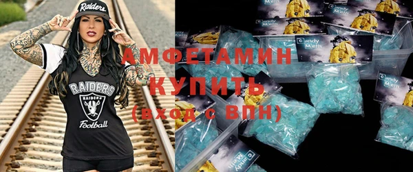 шишки Алексин