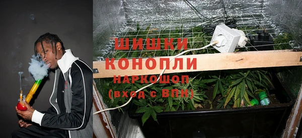шишки Алексин